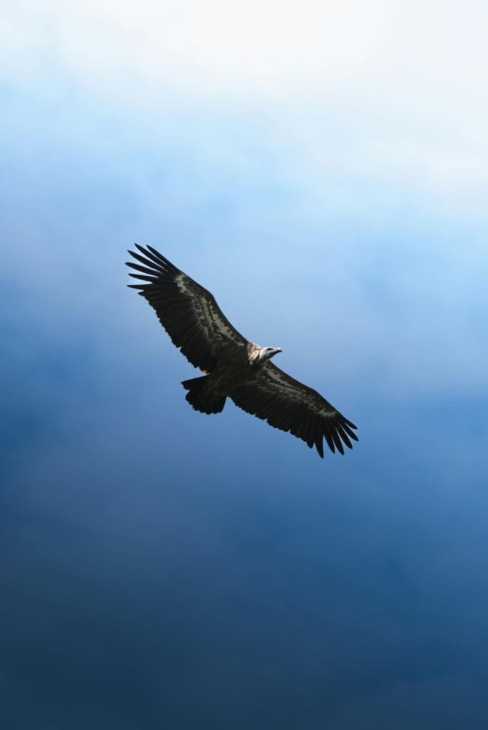 Anything You Respond To Willingly Becomes Yours