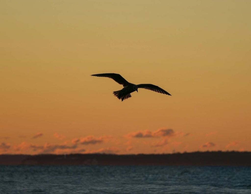 The Most Beautiful People Are Shaped, Not Born