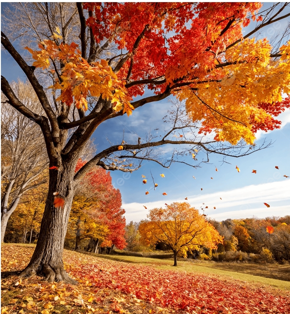 The Alchemy of Quitting: A Journey Through Letting Go and&nbsp;Becoming