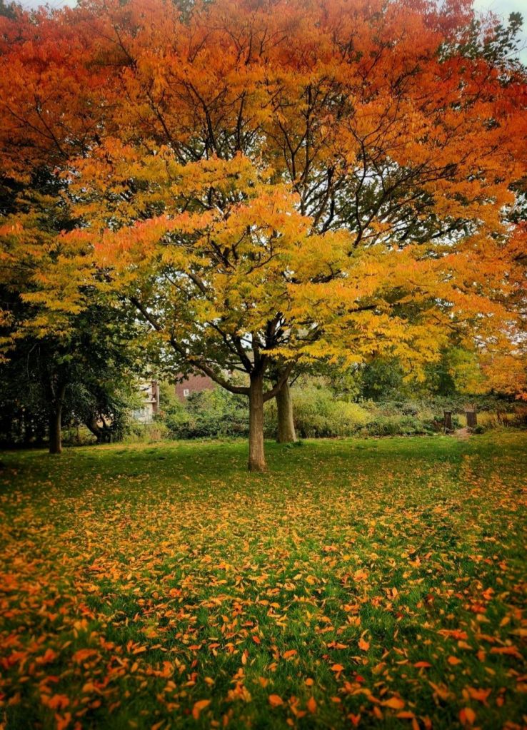 The Alchemy of Quitting: A Journey Through Letting Go and Becoming