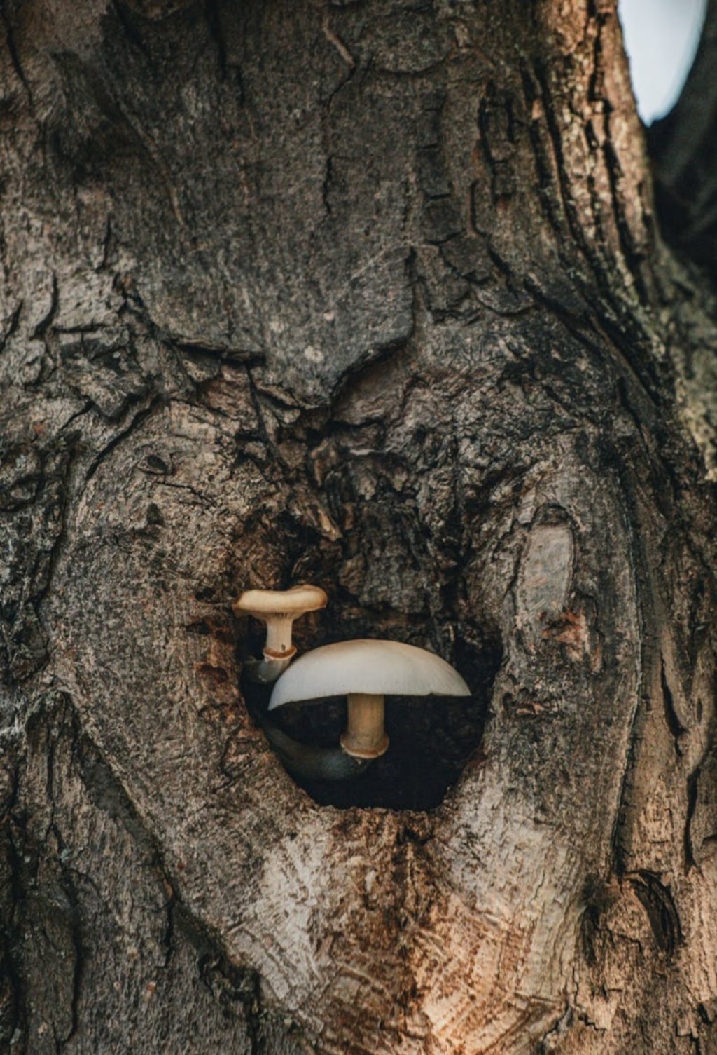 Today Is the&nbsp;Day