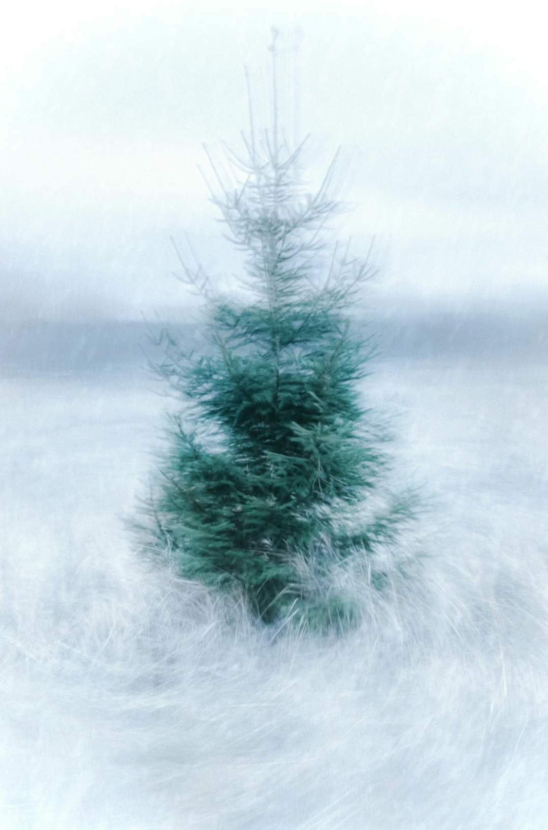 I Will Rise: A Prayer for Heavy Days