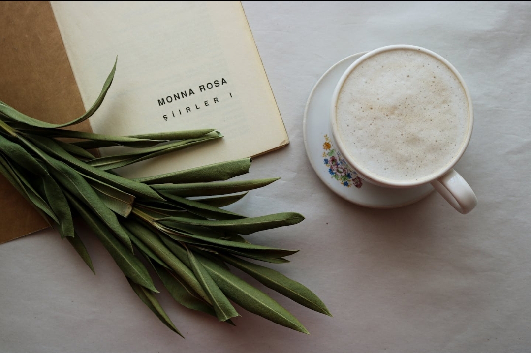 Emerging Trends in Global Poetry: How Verse Is Being Rewritten in the Digital Age