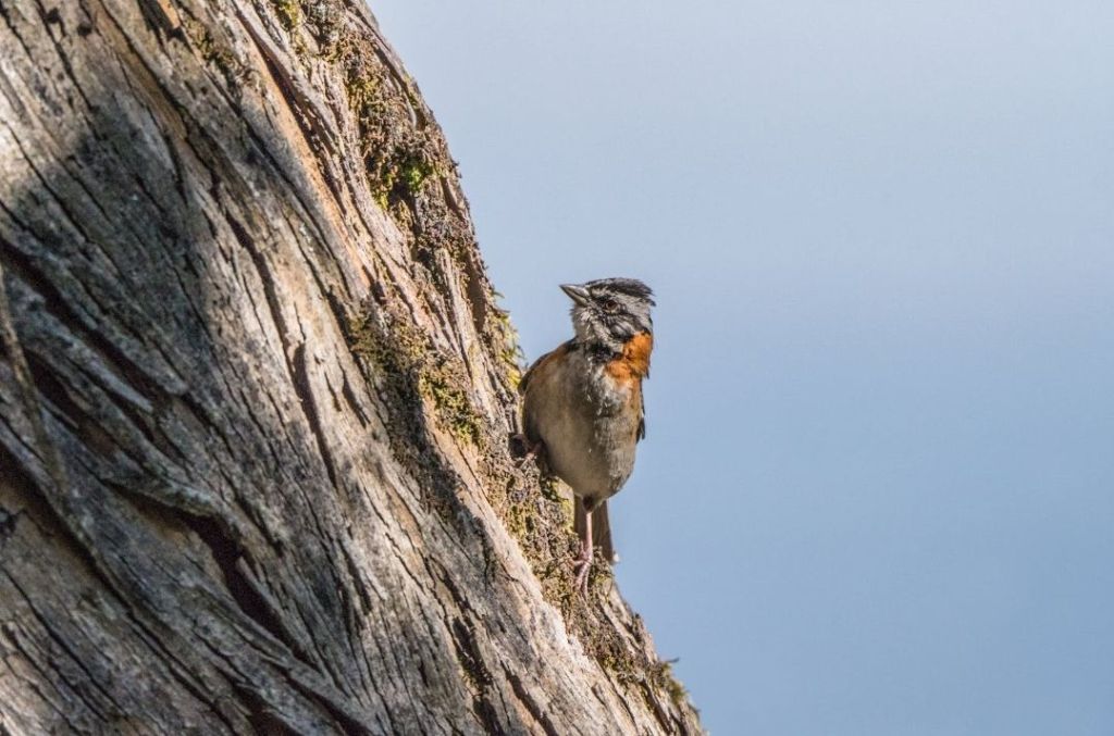 Ten Quiet Fires for 2026: A Vision Board Written in Starlight