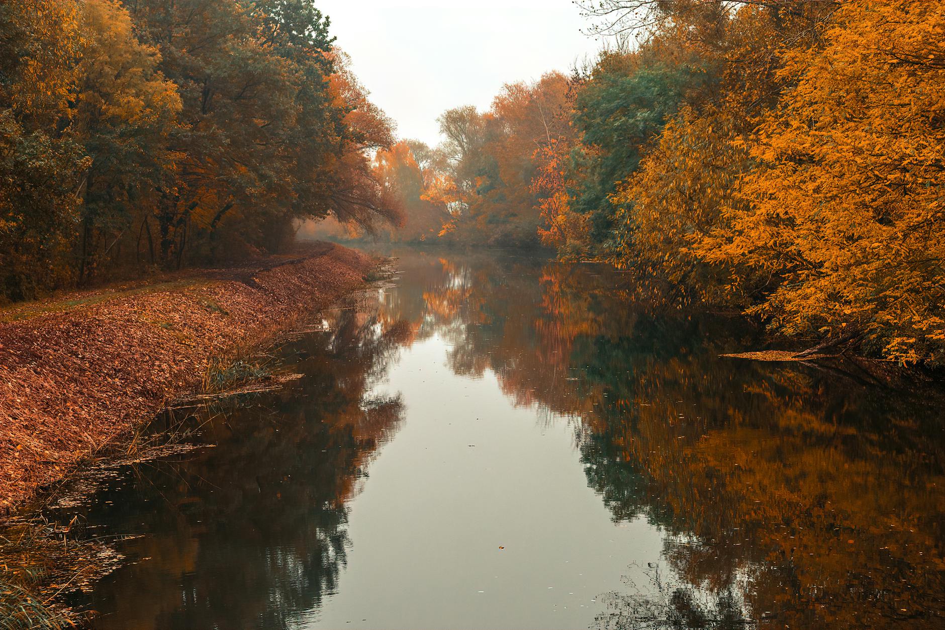 Unfinished Love Poem: Letting Go, Memory, and Moving On Without Closure