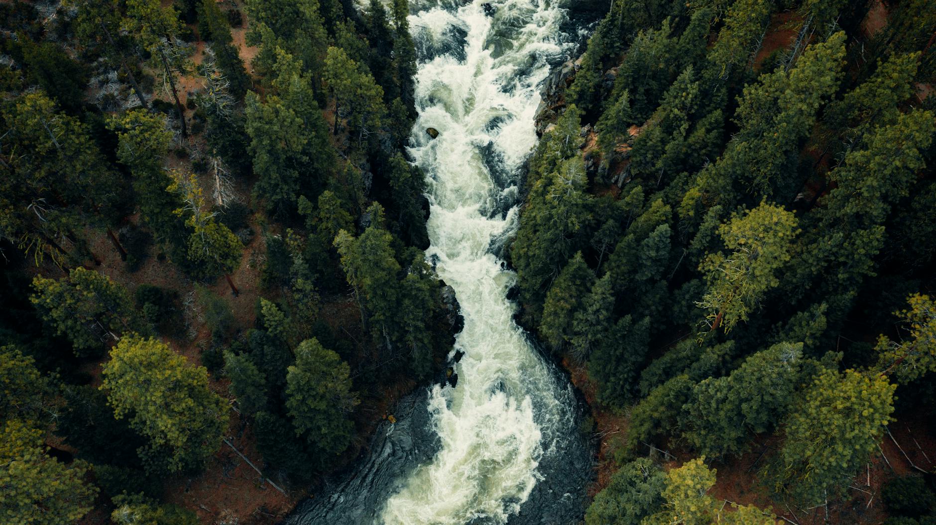 Where We No Longer Flow Alone