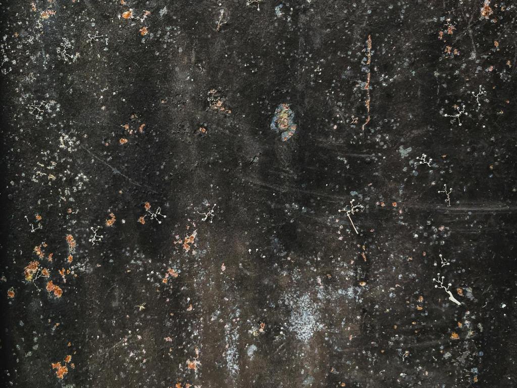 We Are Stardust After All