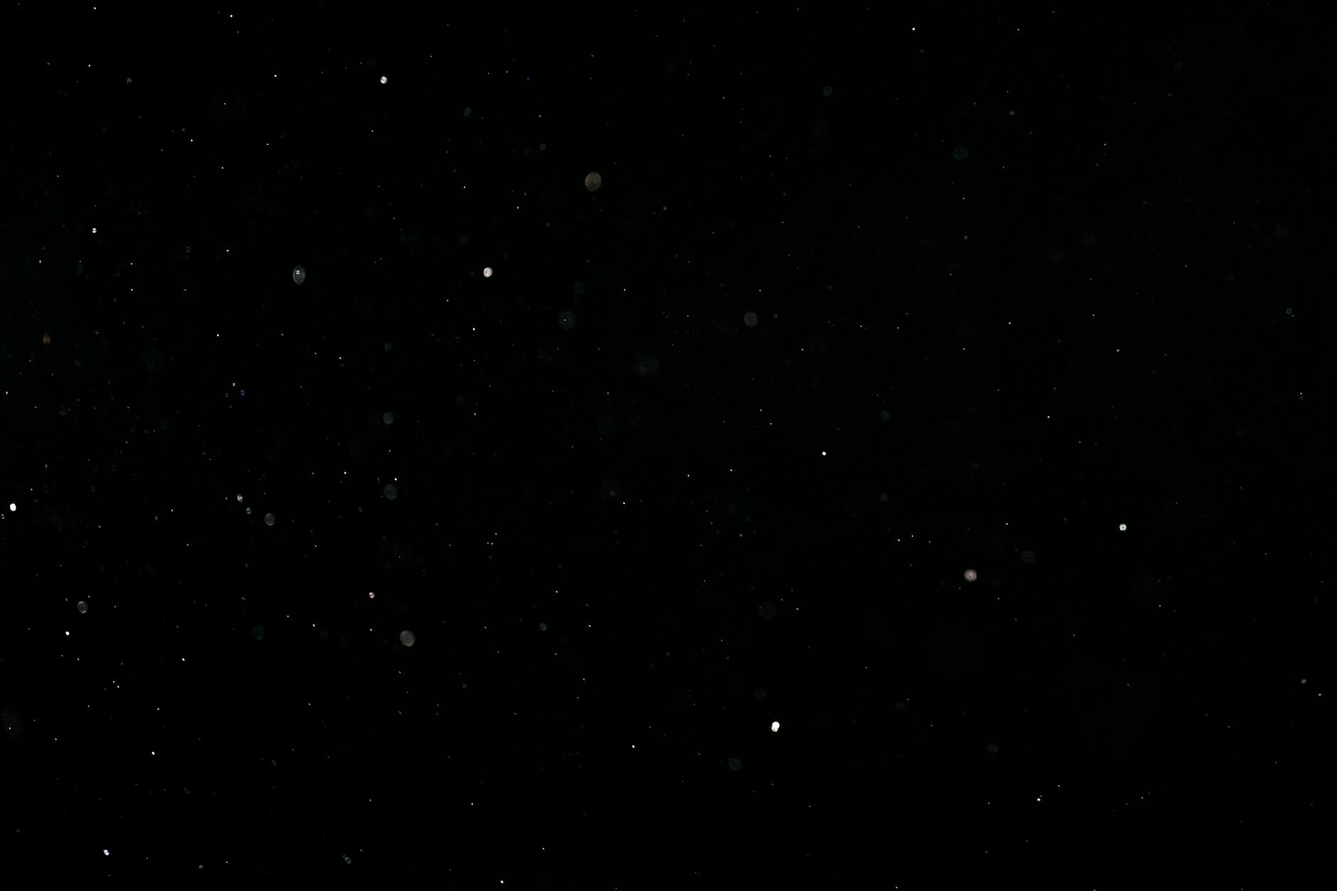 We Are Stardust After All