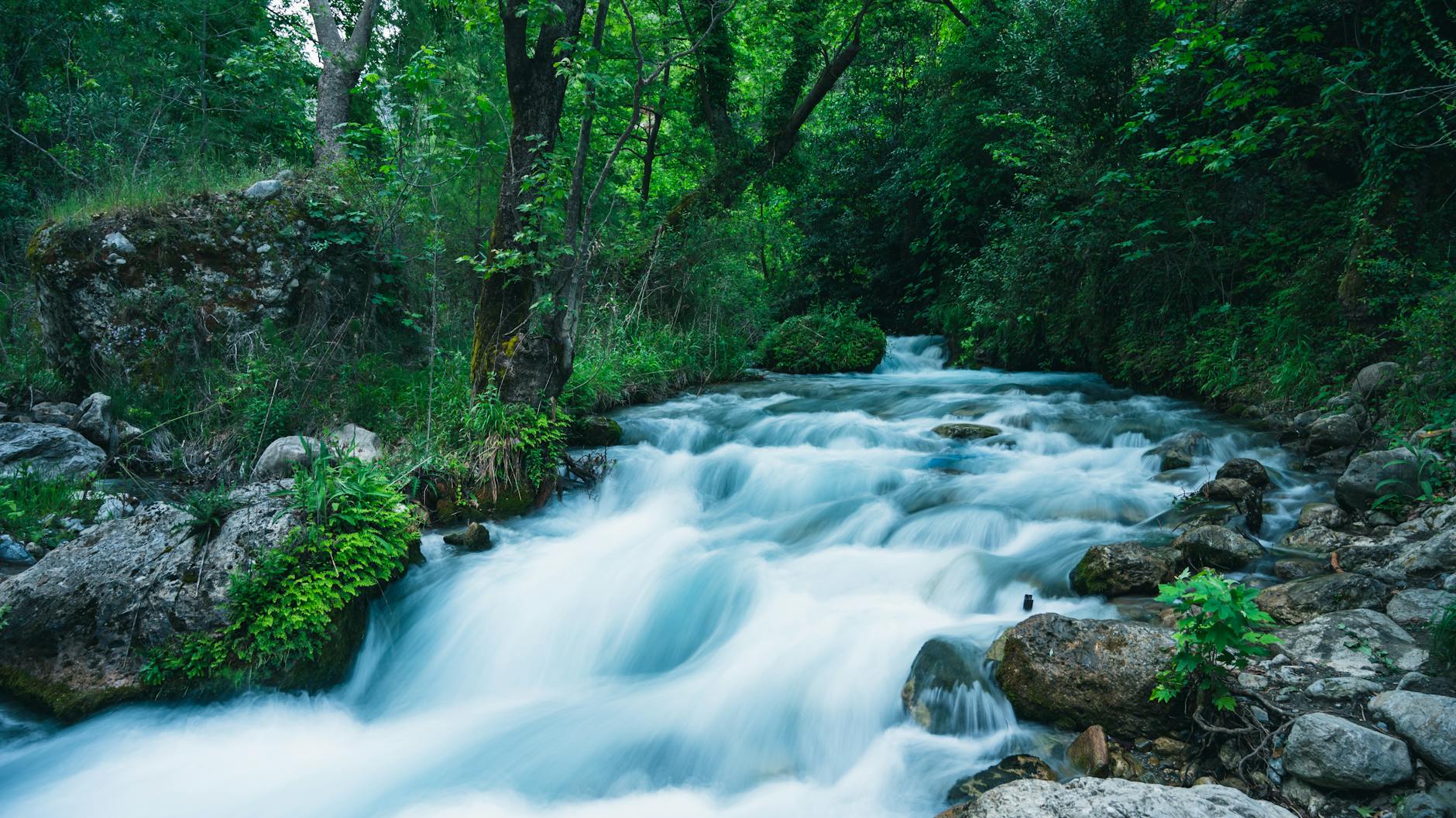 Busy Mind vs Deeper Intelligence: Why Constant Thinking Is Not Clarity