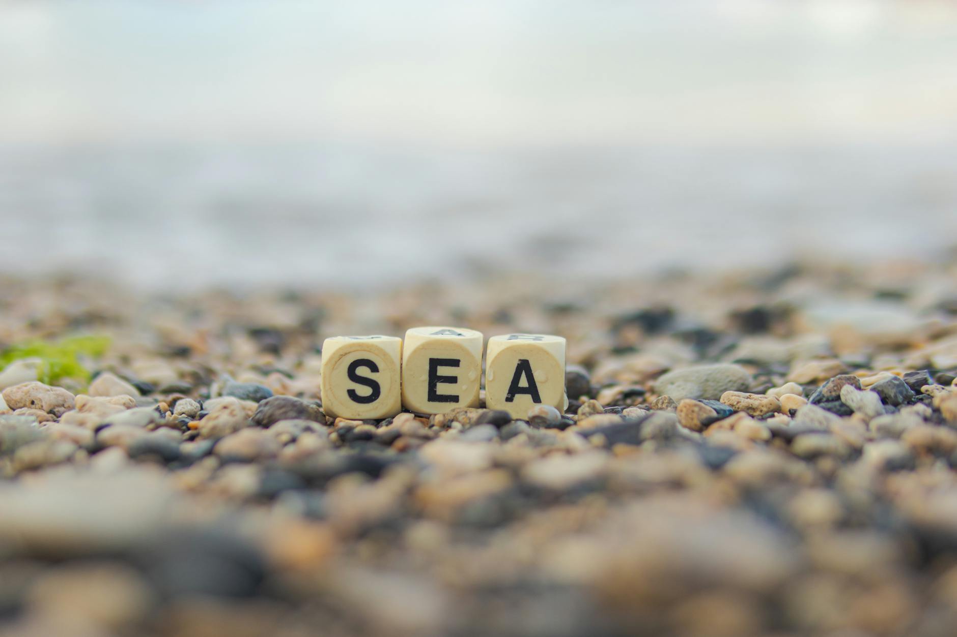 The Distance a Word Travels