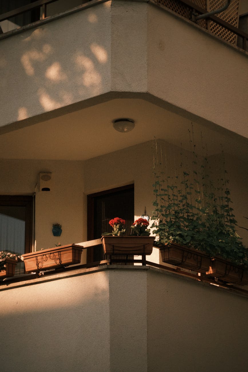 The Architecture of Loneliness: Five Stories About Leaving, Returning, and What Refuses to Leave Us