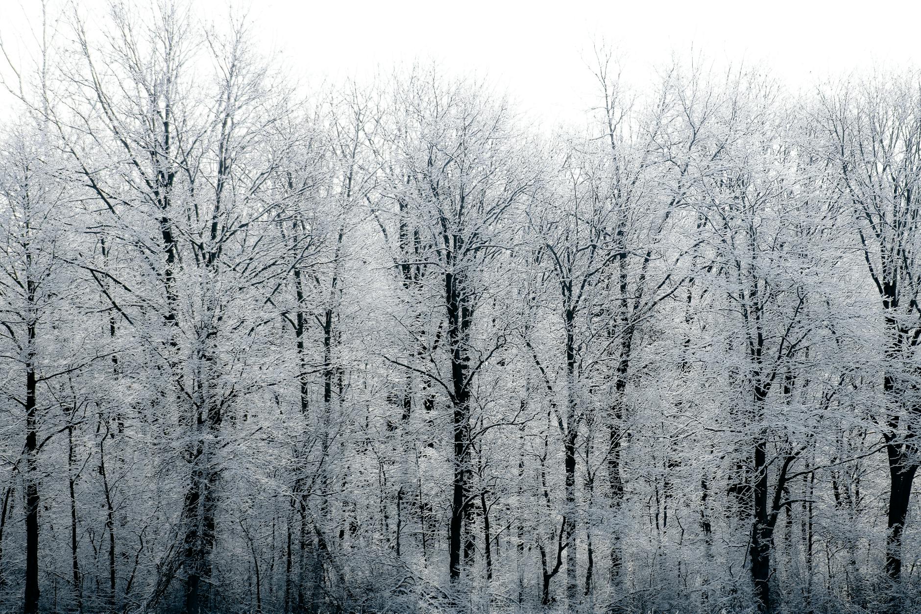Do You Believe in Minimalism? A Reflective Poem on Simplicity and Enoughness
