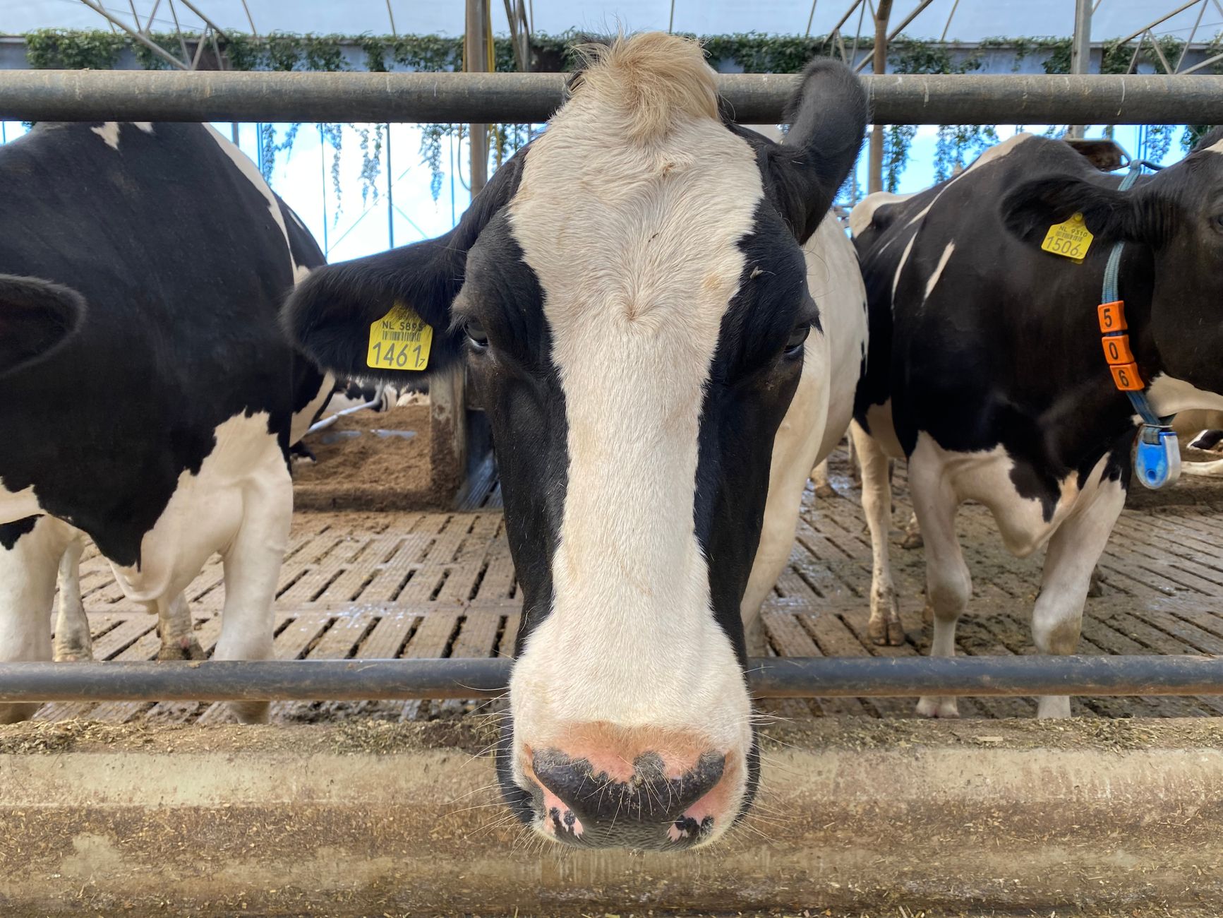 Food Security and Trade Negotiations: Why Countries Are Redefining Economic Sovereignty