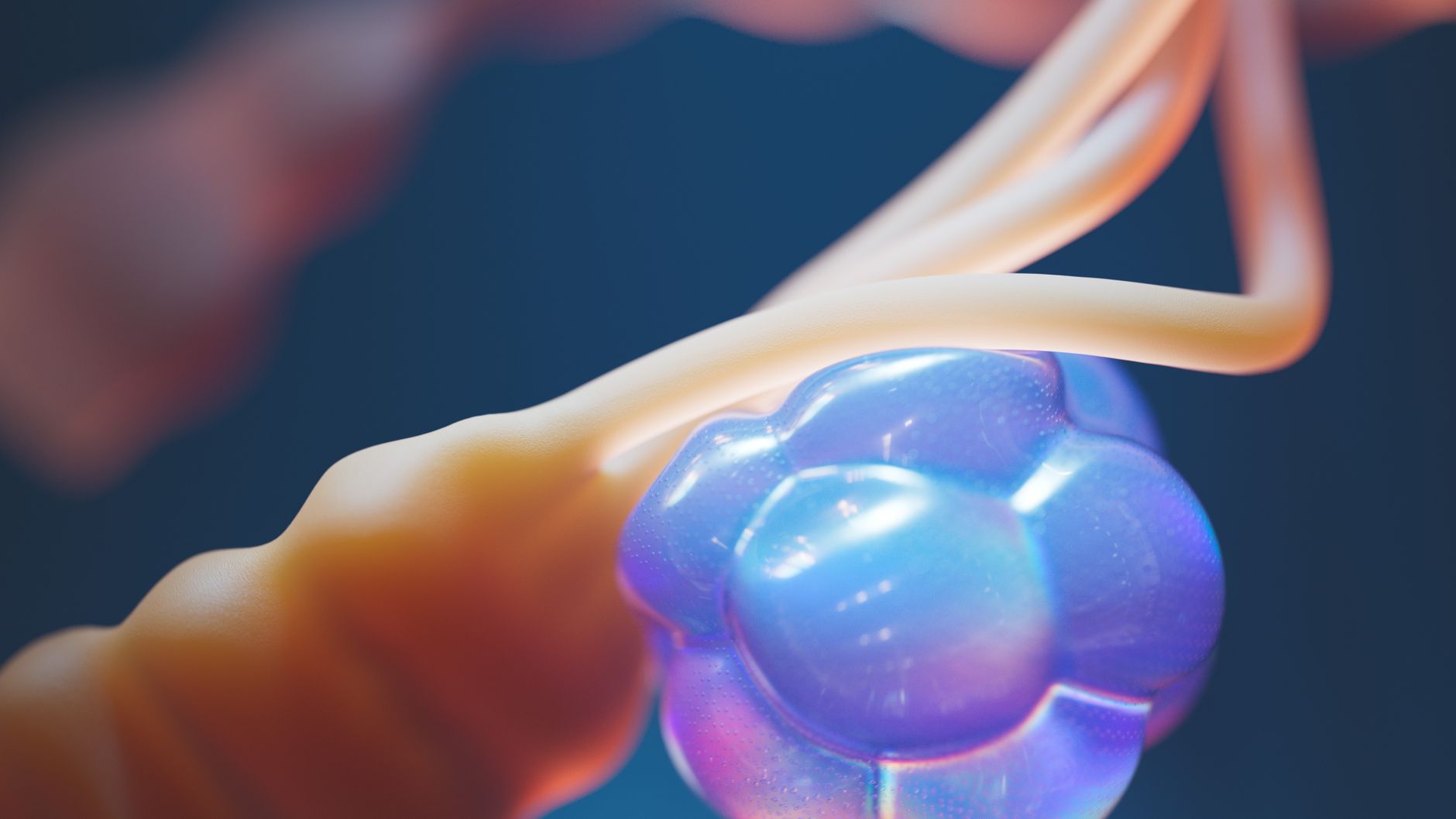 Lymph System Supplements: What They Are, What Science Says, and Whether You Really Need Them